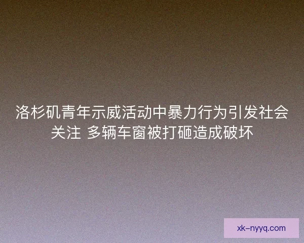 洛杉矶青年示威活动中暴力行为引发社会关注 多辆车窗被打砸造成破坏